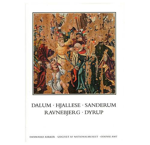 Odense amt bog 28 - 29: Dalum, Hjallese, Sanderum, Ravnebjerg, Dyrup