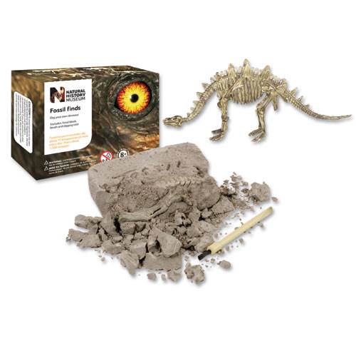 Udgrav din egen dinosaur - fossil af Stegosaurus