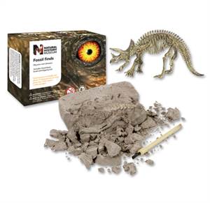 Udgrav din egen dinosaur - fossil af Triceratops